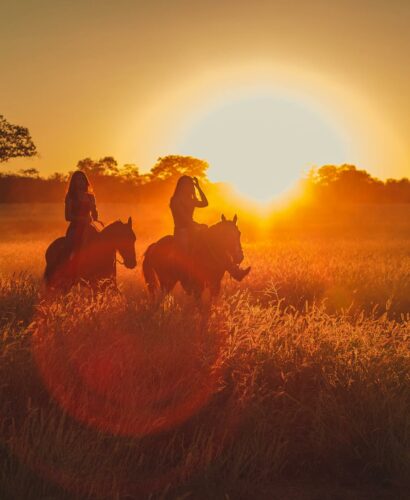 pexels-willsantos-2714627