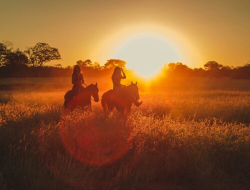 pexels-willsantos-2714627