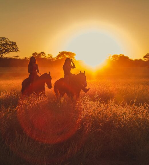 pexels-willsantos-2714627 pexels-willsantos-2714627