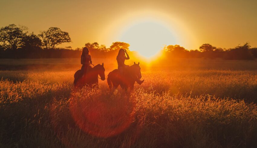 pexels-willsantos-2714627