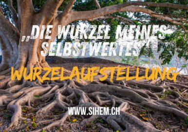 655882454_1529072468784164_3886323953003799004_n 655882454_1529072468784164_3886323953003799004_n